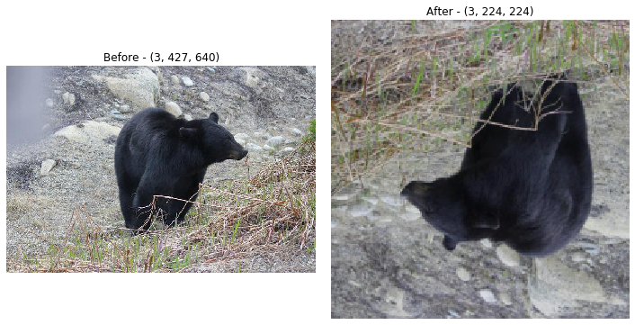 ../../_images/prep_data_image_data_guide_03c_pytorch_preprocessing_25_0.png